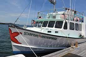 Boat 1 (Starfish Enterprise)